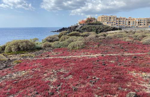 Sea Horizon - Foto 23