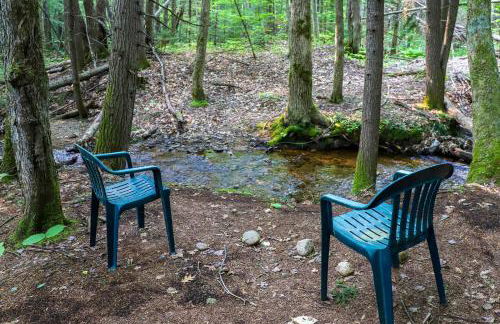 Cozy New Hampshire Retreat Near Attitash Mountain! - Photo 20