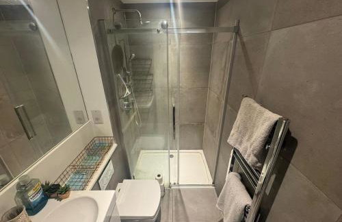 JVL Nice Cosy 1BR Flat Purley, London - Foto 18