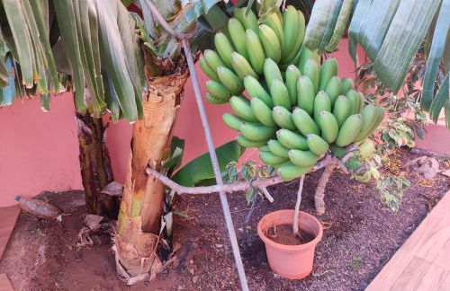 Casita La Gomera - Foto 3