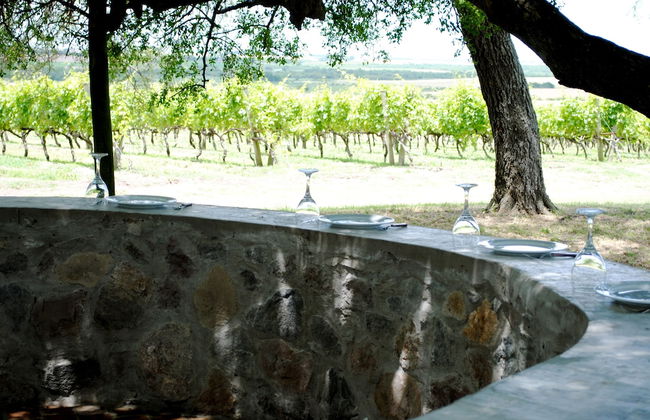 Finca Las Cavas - Photo 12