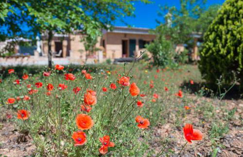 Ses Llegitimes - Foto 16