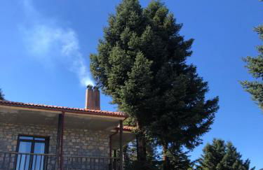 Villazia The Highest - Foto 70