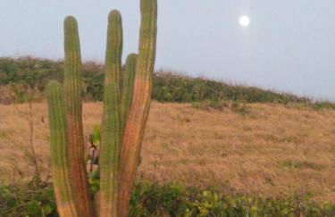 Casa Aratu Guaiú Barra de Mamanguape - Photo 32