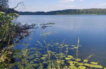 Agroturystyka Lisa Młyn - Foto 24