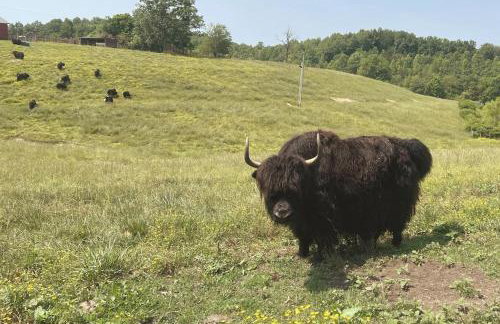 Rise and Shine! A Gorge-ous cabin! - Foto 26