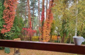 Casa Pablo - Foto 11