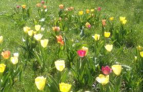 Haus Sonneneck - Foto 33