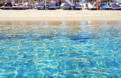 Welcome to Giouli's home ! - Foto 4