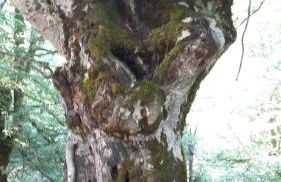 The Fountains House - Foto 32