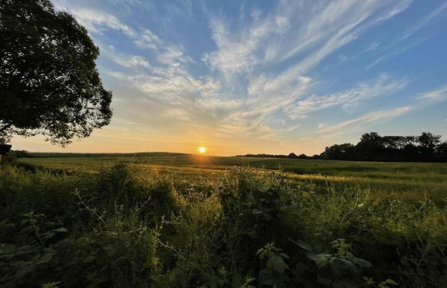 Apartment in Bad Doberan mit Garten - Photo 30