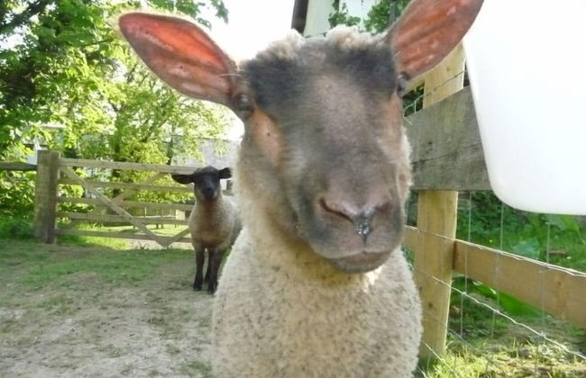 Birchill Farm Holiday Cottages - Photo 61