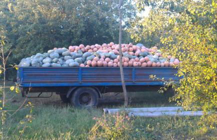 Agriturismo La Fattoria Del Boschetto - Photo 42