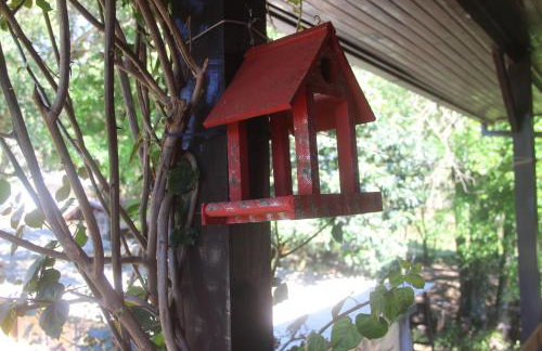 Chalé na Serra Gaúcha, em Picada Café!! - Foto 12