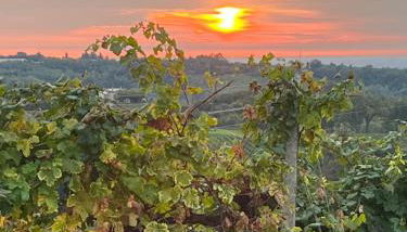 Casa vacanze Pierangela - Foto 2