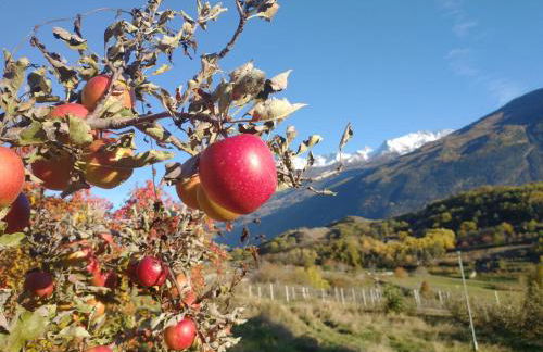 Le Petit Coq - Ampio e luminoso appartamento con vista - Foto 6