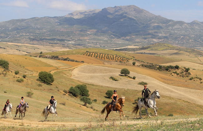 Molino de Saladilla - Photo 30