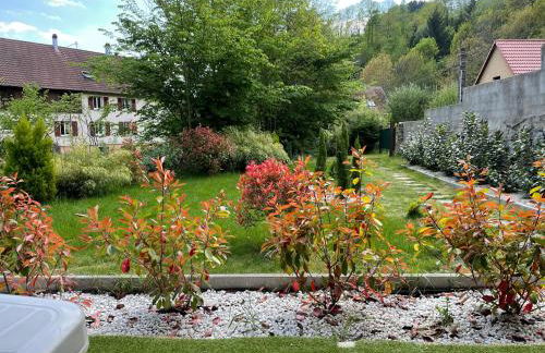 Gîte au bord d’une rivière ! - Foto 3