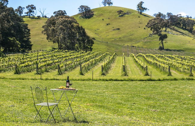 Blue House at Mountainside Wines - Foto 9