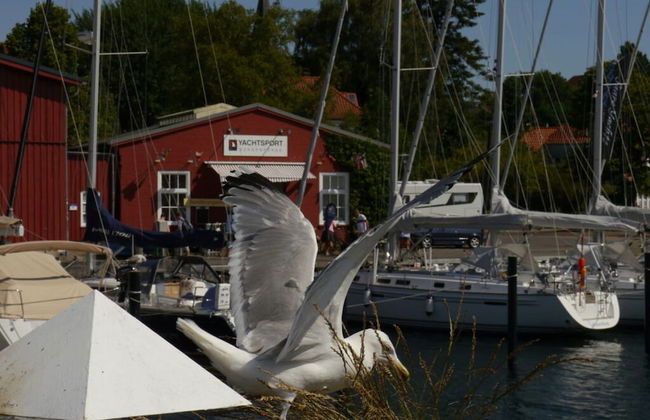 Holiday Apartment Sparrow's Nest - Foto 34