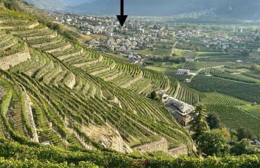 Valtellinda - Foto 11