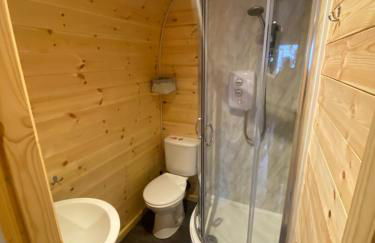 Willow Nook, near Saundersfoot and Tenby - Foto 17