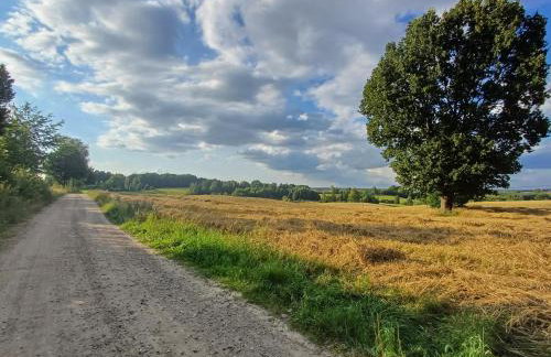 Siedlisko Dwa Żurawie - Uroczy domek nad stawem, z kominkiem, obok konie - Foto 19