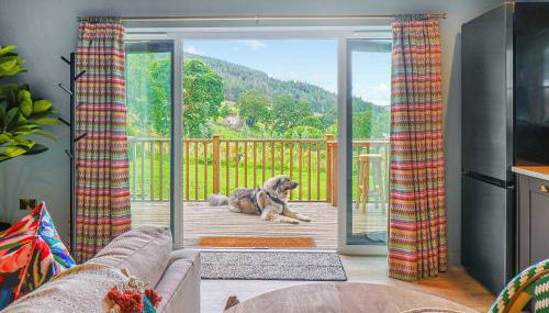 The Twitcher - Uk50612 - Foto 3