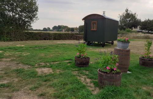 Glamping in Wiltshire in our luxury Shepherds Hut - Foto 32