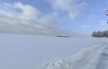 Dom Pod Złotym Bażantem - Foto 34