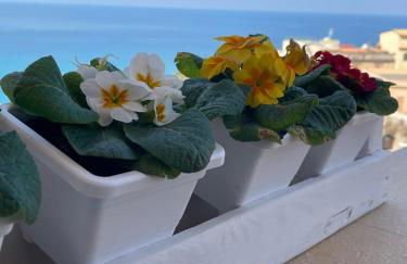 Sapore Di Sale Accommodation Tropea - Photo 12