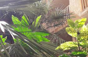 Domaine de La Coudouliere, Vue Mer, Plage, Piscine et Parc - Foto 41