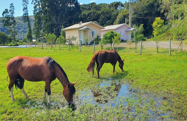Pousada Mato Verde - Urubici - SC - Foto 24