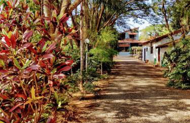 Suits - Canto do sabia - Foto 30