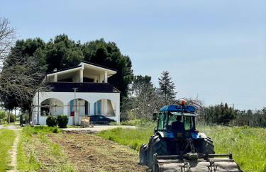 Villa Brada - Foto 20