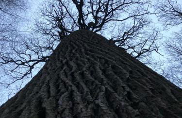 La Pause du Perche - gîte au pied de la forêt - Foto 28