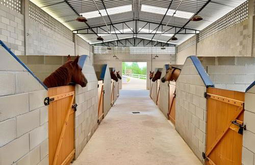 Fantástico Rancho Bronzel - Foto 9