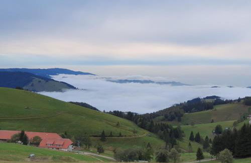 Schwarzwaldhimmel - Foto 41