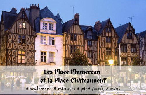 La Cour du Cygne - By PrestiPlace - Foto 28