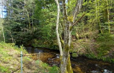 Ferienhaus du Bourguignon, Lorraine - Foto 18