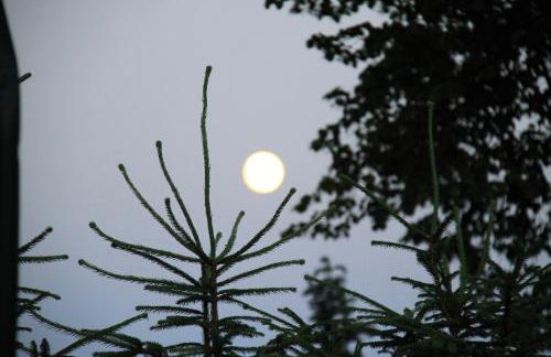 Ferienwohnung Felix - Photo 42