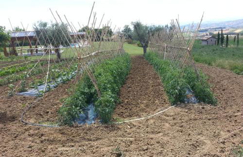 Residence Colle Veroni - Foto 73