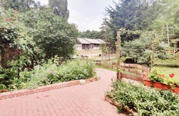 Agroturystyka Stara Huta - Foto 42