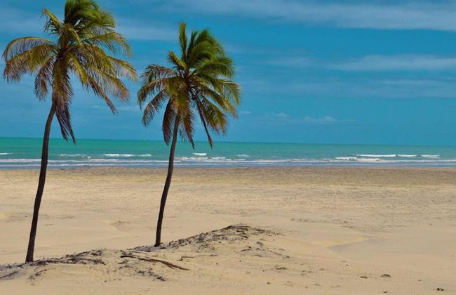 Mangue Seco - Full-Day Tour - Photo 2