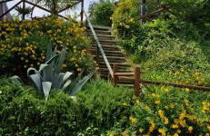 Mimosa Apartments - Foto 6