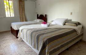 Chácara paraíso bom gosto - Photo 8