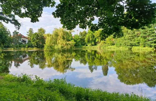 Apartament Magnolia - Centrum - Foto 26