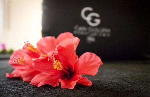 Agroturismo Can Guillem - Photo 74