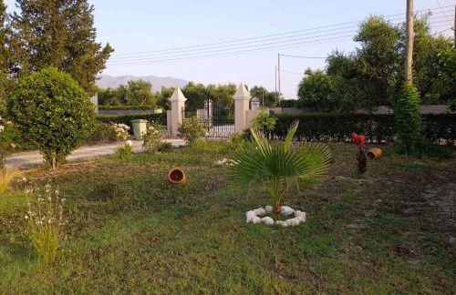 Jenny's House - Foto 45