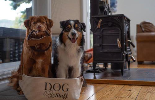 Mountain View Family Cabin, Pet Friendly and Hot Tub - Foto 6